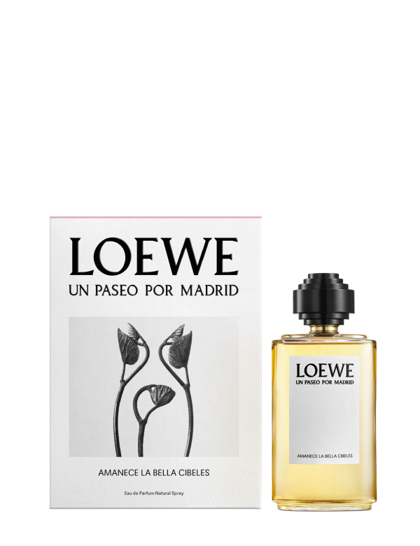 loewe 01